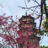 A Peaceful Journey Through Kaiyuan Temple in Quanzhou
