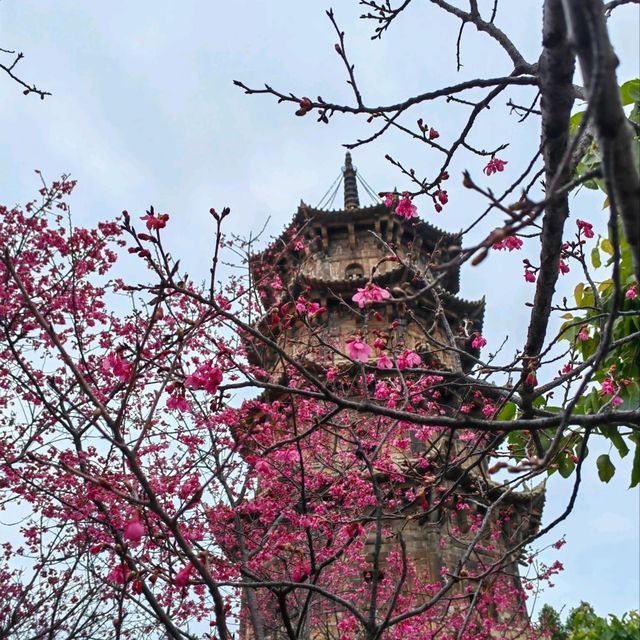 A Peaceful Journey Through Kaiyuan Temple in Quanzhou