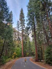 Yosemite: A Year-Round Wonderland, Day and Night!