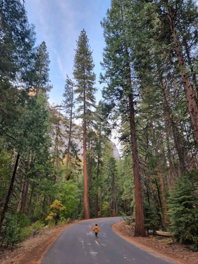 Yosemite: A Year-Round Wonderland, Day and Night!