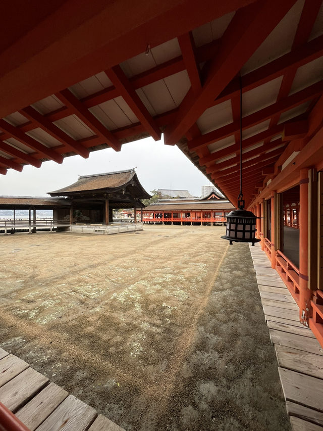 嚴島神社幾時去？潮退還是潮漲？why not both?