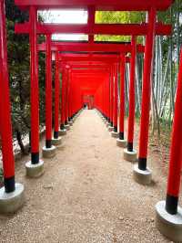 【丸亀】景色多様✨日本最大の広さの文化財庭園✨