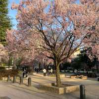 錦町公園