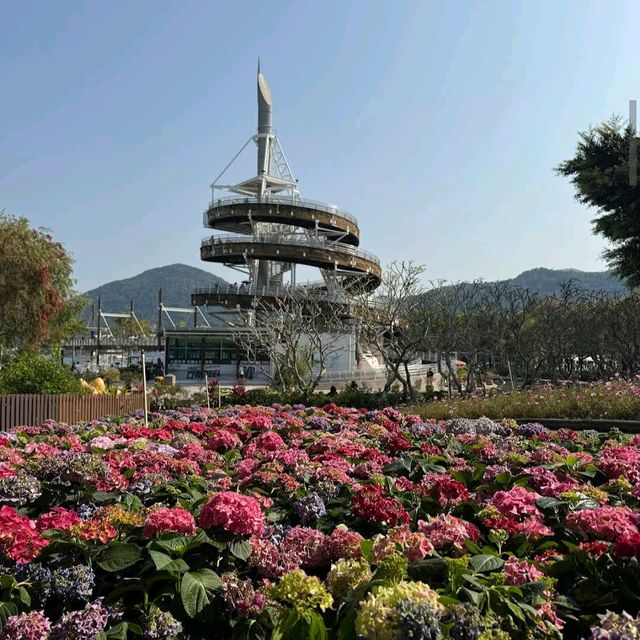 大埔海濱公園 (Tai Po Waterfront Park)