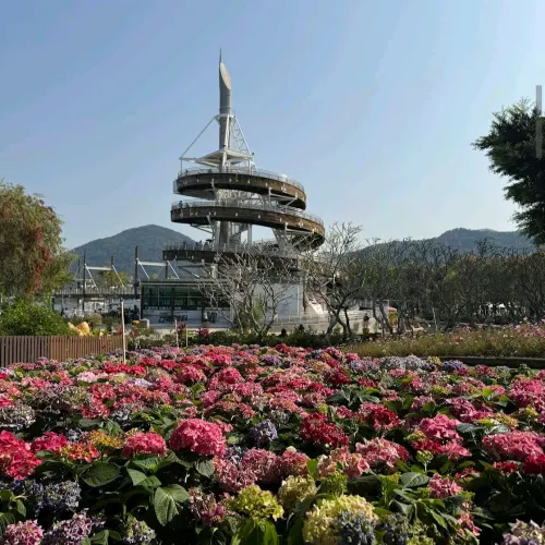 大埔海濱公園 (Tai Po Waterfront Park)