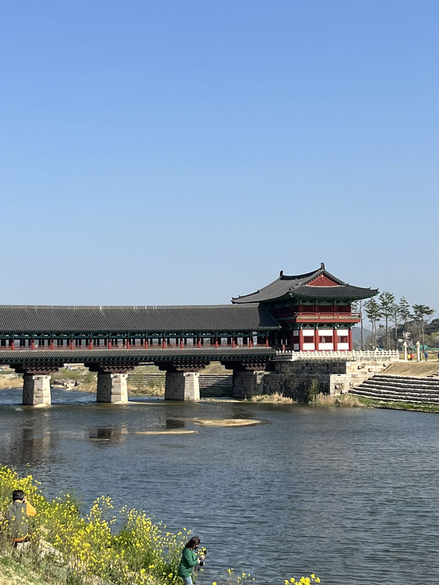 경주 벚꽃 명소, 황리단길 가볼 만한 곳