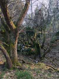 Hiking in Arenas de Cabrales, Asturias 🏔️🌿🦇
