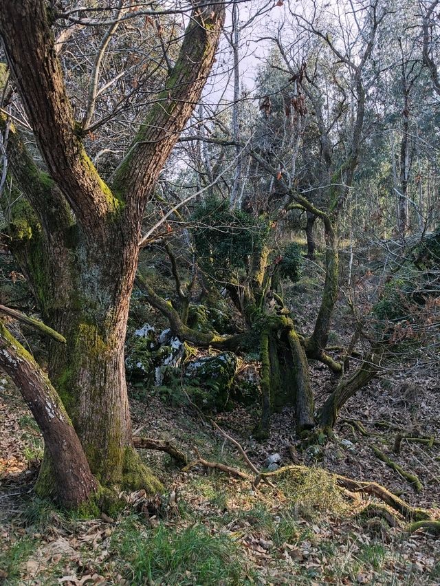 Hiking in Arenas de Cabrales, Asturias 🏔️🌿🦇