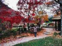 The Garden of Morning Calm: Korea’s Tranquil Floral Wonderland