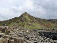 Spring Awakens at the Giant’s Causeway