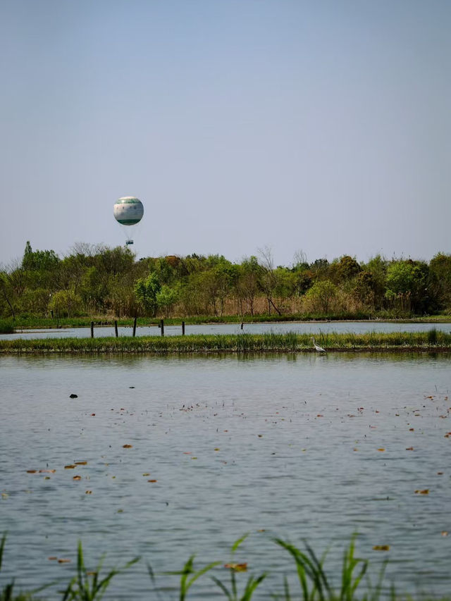 Hangzhou Xixi Wetland Park 🌳🇨🇳
