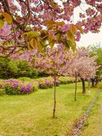 Spring's Lakeside Escape: Relaxation and Renewal at Misagyeongjeong