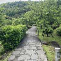 【陽明山国家公園｜花時計】静けさと彩りに包まれた午後 