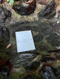 京都5間氣氛好、能量強的神社！感覺有點不一樣吧～
