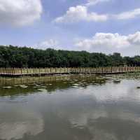 萬頃沙濕地公園（Wuyuanwan Wetland Park / Wanqingsha Wetland Park） 