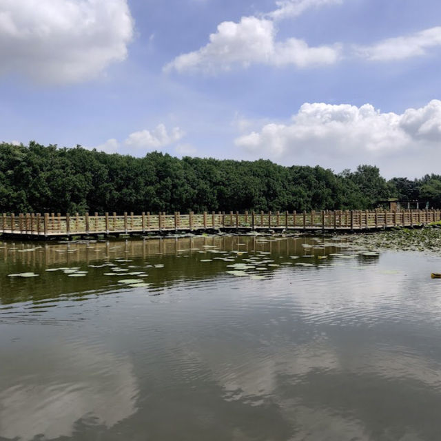 萬頃沙濕地公園（Wuyuanwan Wetland Park / Wanqingsha Wetland Park） 