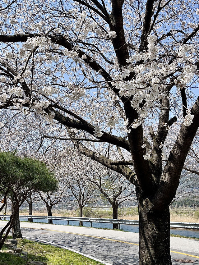 남원 1박2일 알짜배기 일정, 맛집 추천💓 