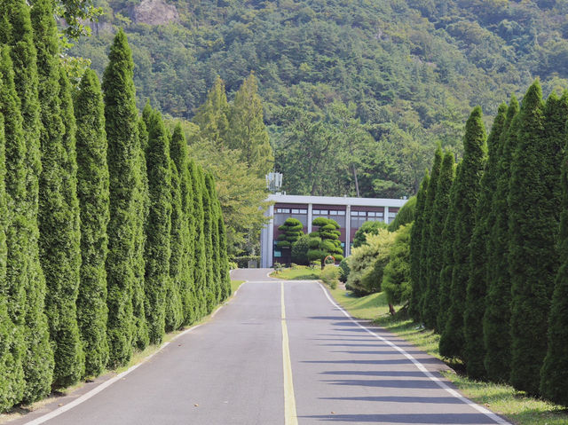 🌲 나주 산림자원연구소, 자연 속에서의 로맨틱한 산책