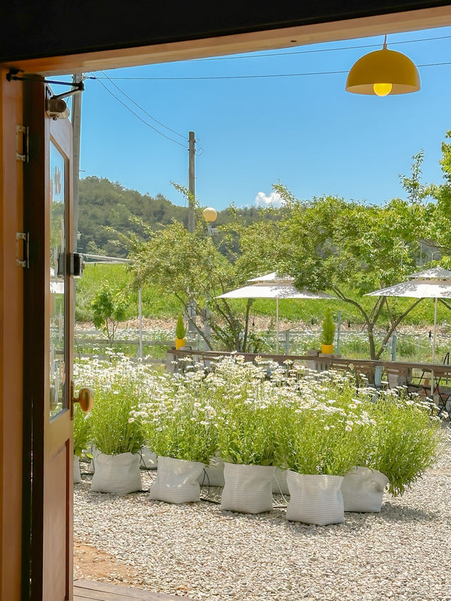 유기농 디저트의 정석이란 이런 것🍯🌾