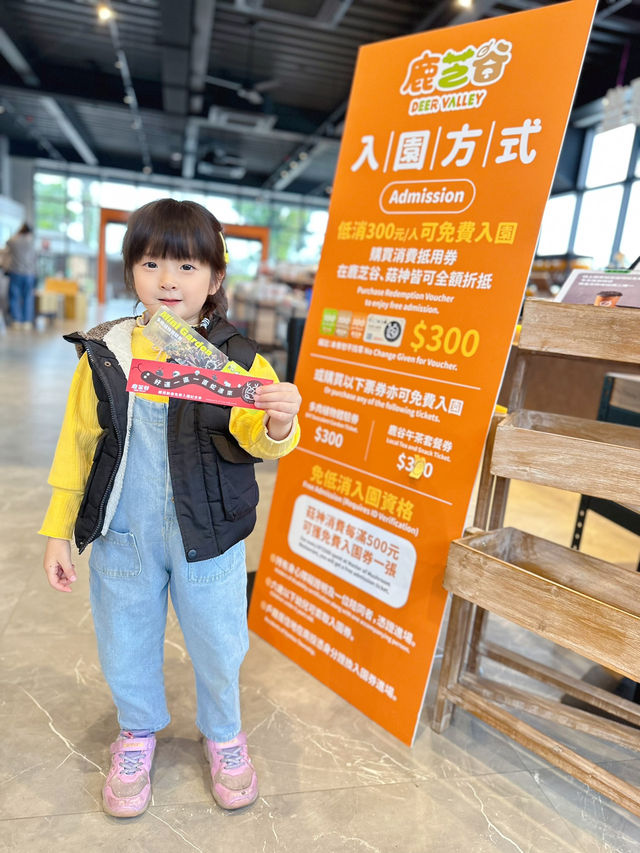 全台最Chill親子景點，藏在南投鹿谷山林裡！