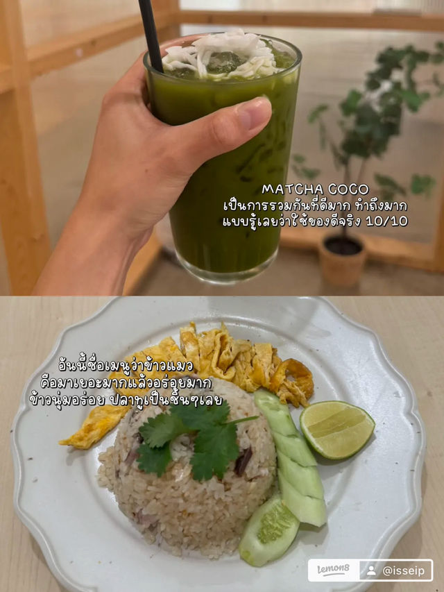 แนะนำคาเฟ่ ‘PROJECT BOX‘ บรรยากาศดี 🌿🍪