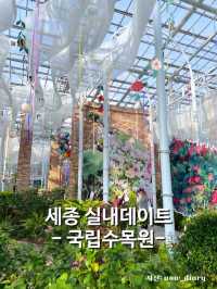 대전 근교 세종에서 즐기는 자연자연한 실내데이트 코스