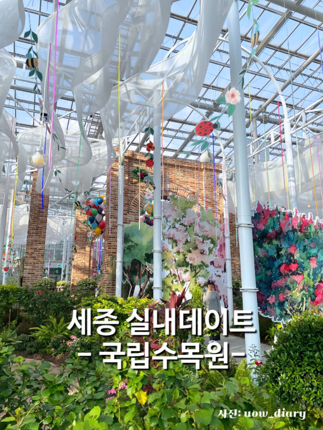 대전 근교 세종에서 즐기는 자연자연한 실내데이트 코스