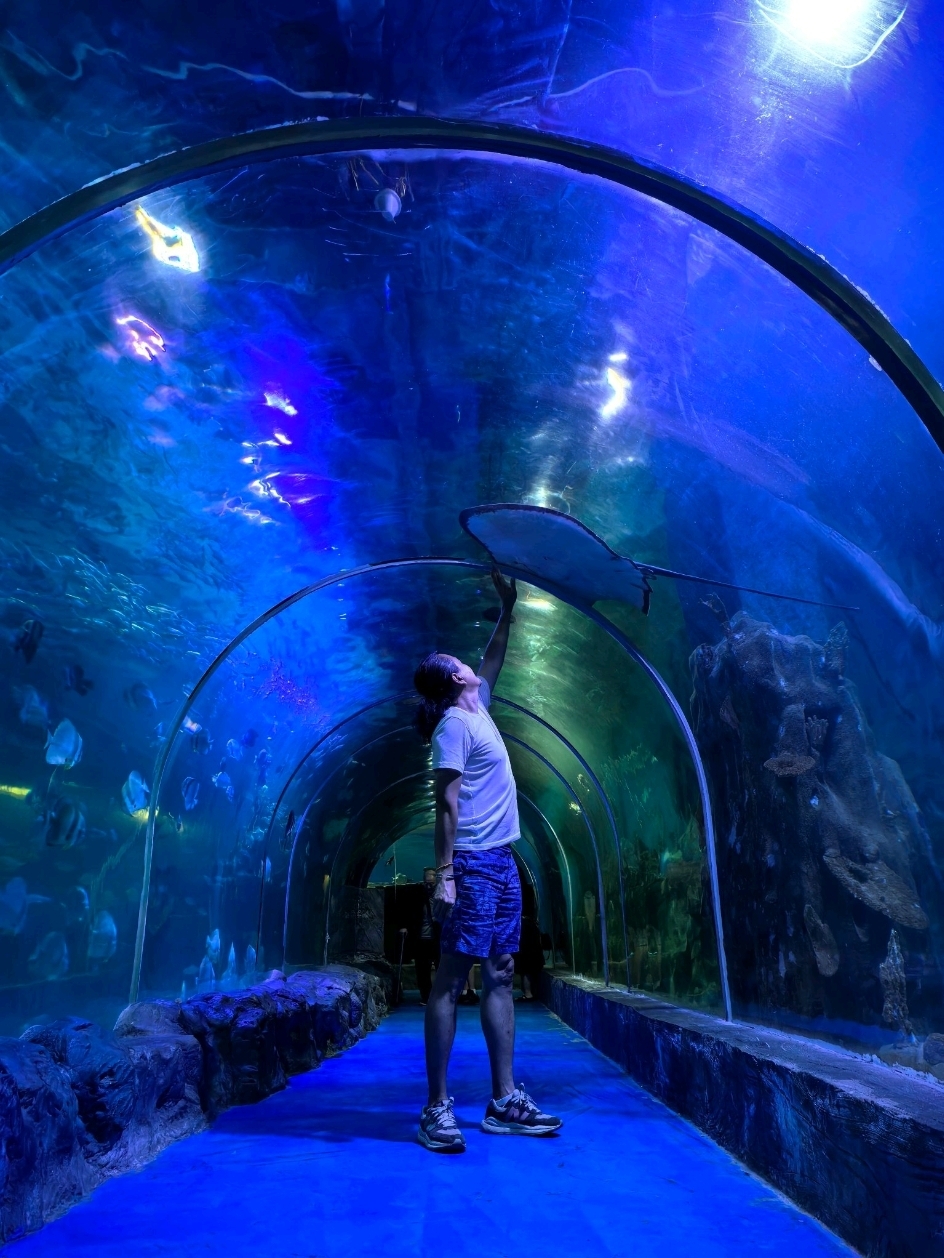 Underwater Magic : Mermaids, Sharks and Sea Lions at Oceana