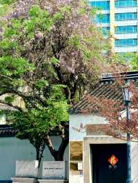 Qingguo Lane: A Historic Stroll Through Changzhou