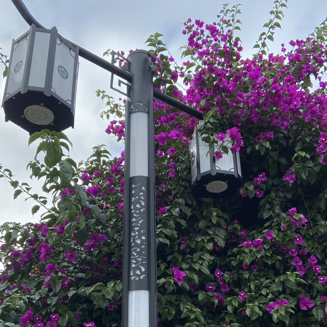 Lijiang: A City Full of Flowers