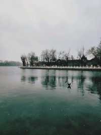 春雪citywalk@鼓樓-鐘樓-什剎海-南鑼鼓巷