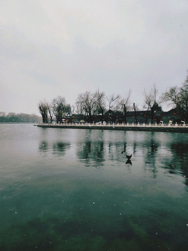 春雪citywalk@鼓樓-鐘樓-什剎海-南鑼鼓巷