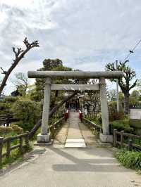 Spring Walk at Himonya Itsukushima-jinja Shrine
