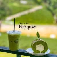 ไปกินชาเขียว ให้อากาศหายร้อนกัน