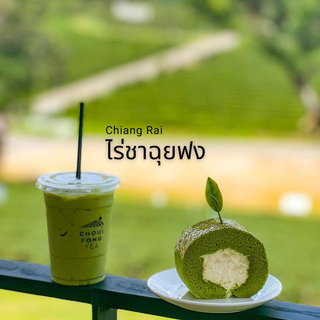 ไปกินชาเขียว ให้อากาศหายร้อนกัน