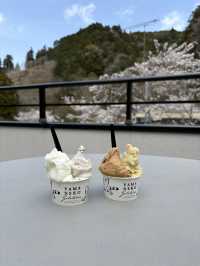 【千葉】大多喜で味わう旬の贅沢ジェラート🍨