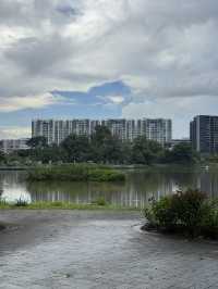 Explore and have a leisurely walk at Jurong Lake Gardens