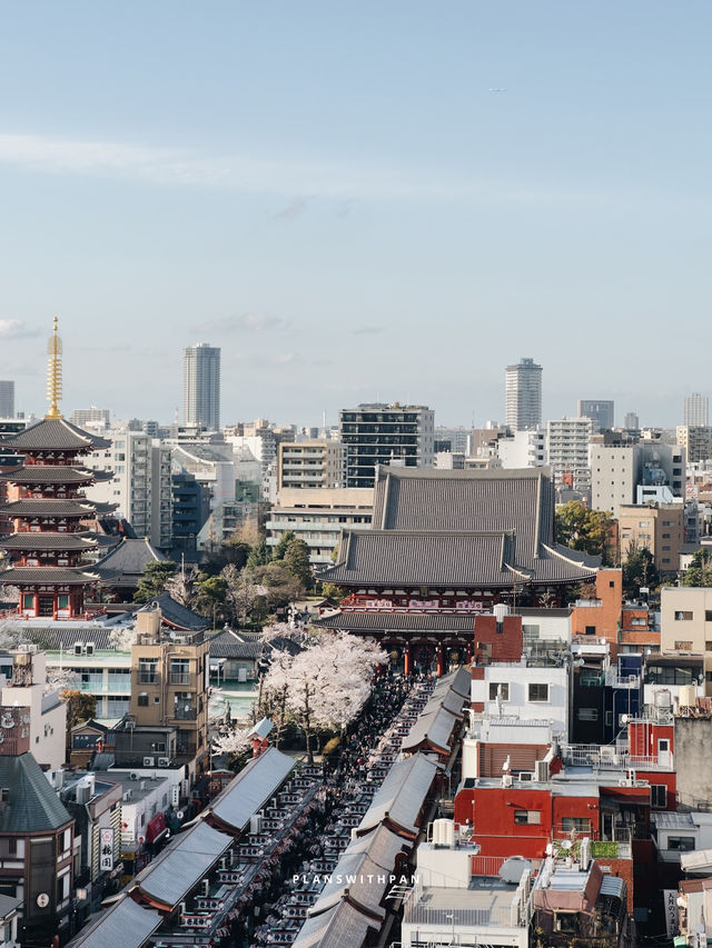 วัดเซ็นโซจิ (Sensoji Temple)🏮✨