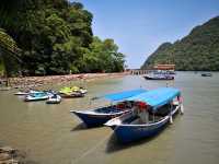 Pulau Dayang Bunting – Langkawi’s Legendary Lake Island** 🌿🏞️   