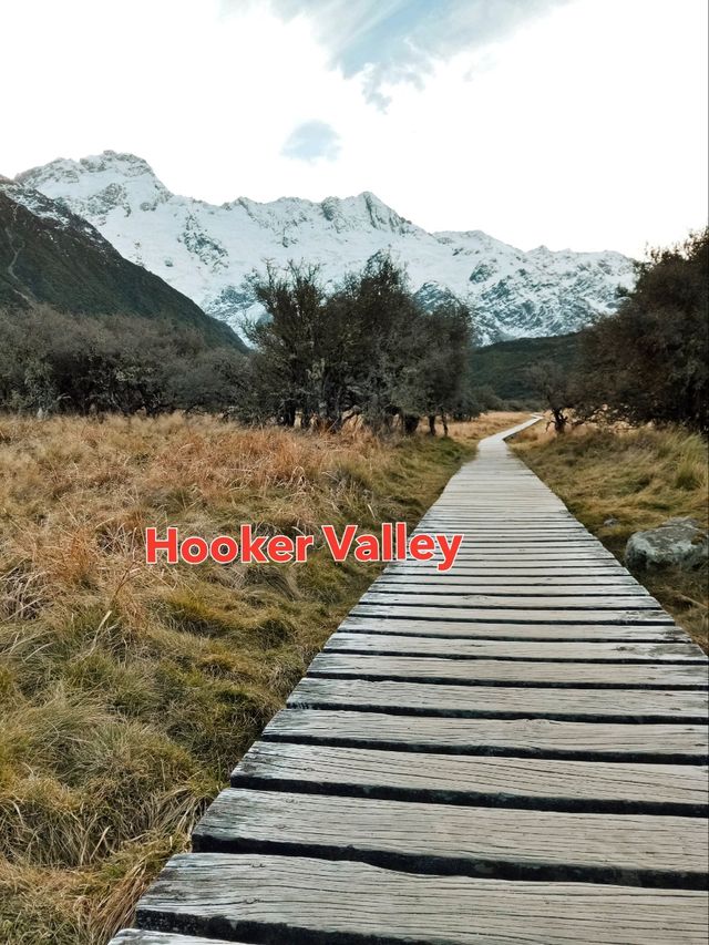 🇳🇿新西蘭最高山峰：mount cook