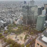 【デートにオススメ】東京 新宿 東京都庁第一本庁舎北展望室 東京の真ん中で無料で絶景が見られるスポット
