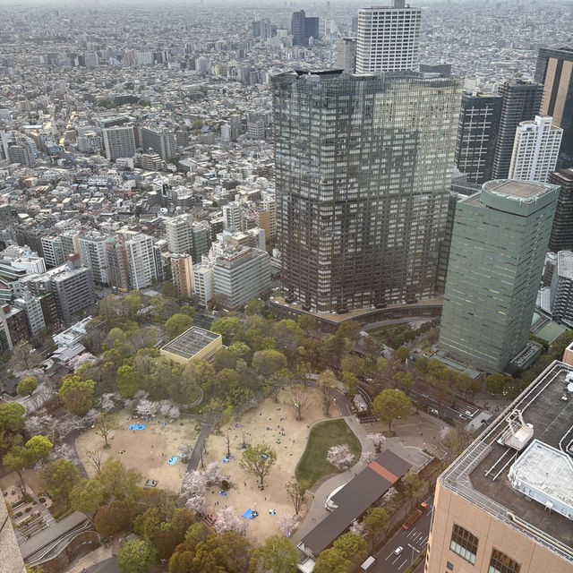 【デートにオススメ】東京 新宿 東京都庁第一本庁舎北展望室 東京の真ん中で無料で絶景が見られるスポット