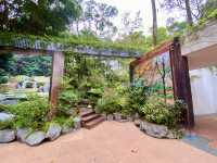 置身和式庭園🌷🦜體驗鳥語花香✨大埔海濱公園🏞️