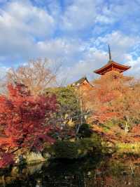 京都を代表する秋の名所「清水寺」へ