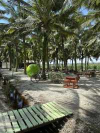 Chilling afternoon at sekinchan coconut farm 