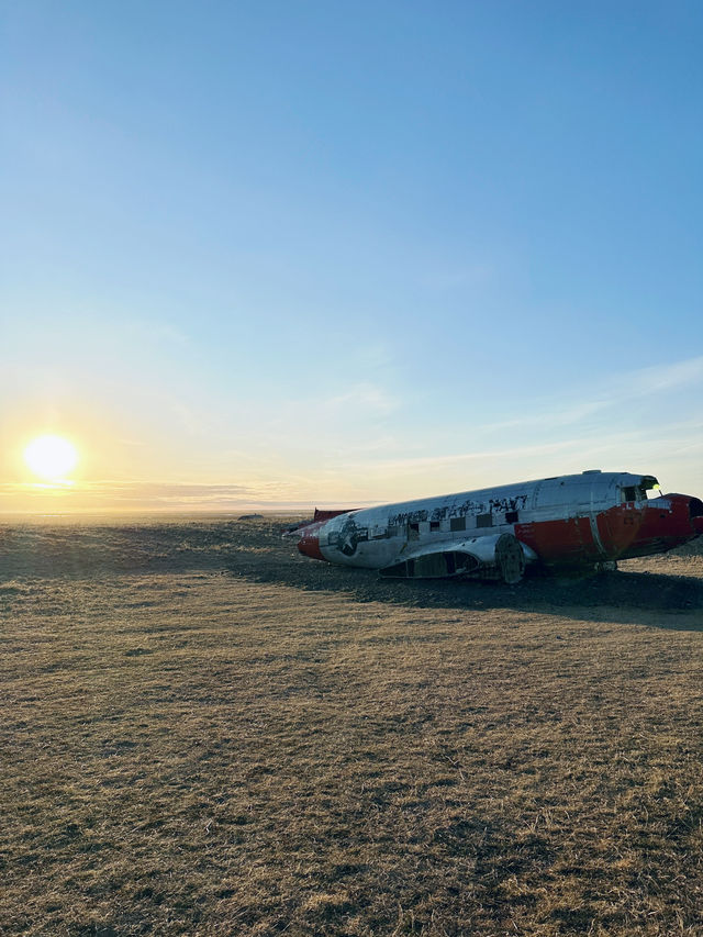 ✨Day 5: From Black Sand Beaches to Reykjavik Streets: A Day of Icelandic Wonders!