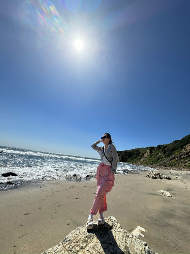 🌊말리부 비치, LA의 완벽한 휴양지!