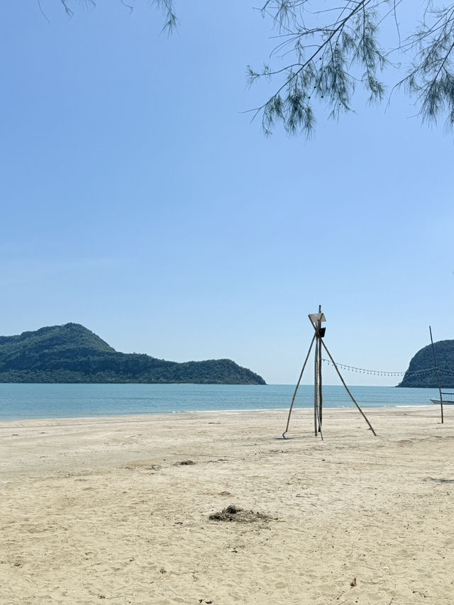เขาสามร้อยยอดถ่ายรูปกับต้นปาร์มที่กำลังเป็นกระแส🏖️