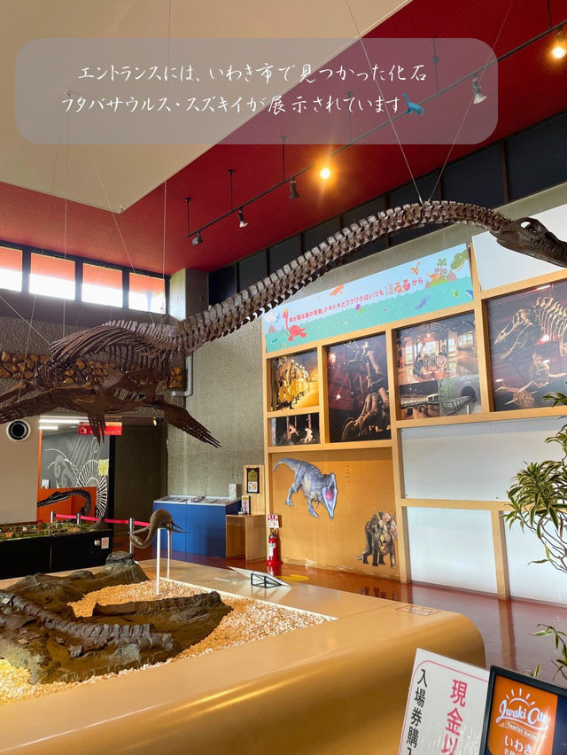 本物の化石に触れちゃう！？いわき市石炭・化石館ほるる