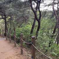 “1903년부터 힐링 중인 저수지?”  경산 반곡지